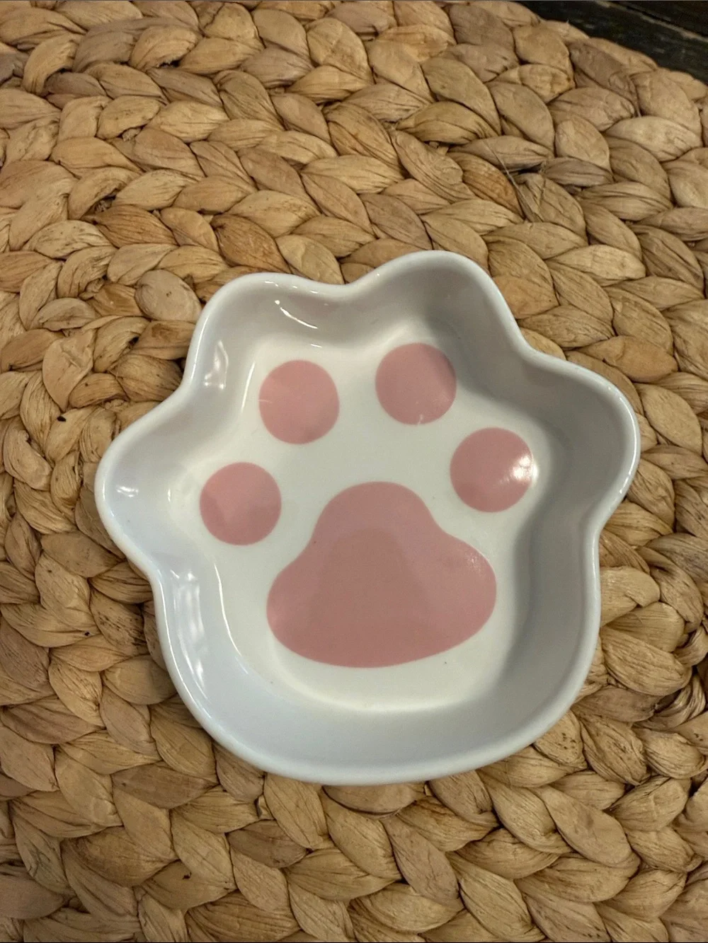 Le Tauci Puppy or Kitten Dish